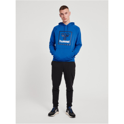 hummel hmlISAM 2.0 Hoodie Herren