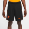 NIKE Niederlande 2020 Stadium Away Fußballshorts Herren