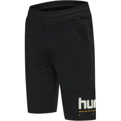 hummel hmlLGC MANFRED Shorts black L