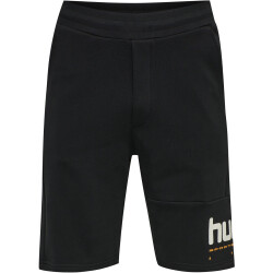 hummel hmlLGC MANFRED Shorts black L