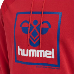 hummel hmlISAM 2.0 Hoodie Herren barbados cherry XXL