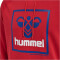 hummel hmlISAM 2.0 Hoodie Herren barbados cherry XXL