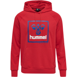 hummel hmlISAM 2.0 Hoodie Herren barbados cherry M