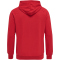 hummel hmlISAM 2.0 Hoodie Herren barbados cherry M
