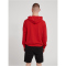 hummel hmlISAM 2.0 Hoodie Herren barbados cherry M
