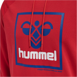 hummel hmlISAM 2.0 Hoodie Herren barbados cherry XL
