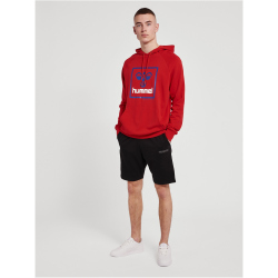 hummel hmlISAM 2.0 Hoodie Herren barbados cherry XL