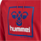 hummel hmlISAM 2.0 Hoodie Herren barbados cherry XL