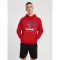 hummel hmlISAM 2.0 Hoodie Herren barbados cherry XL