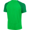 NIKE Academy Pro Dri-FIT Trainingsshirt Herren green spark/lucky green/white S