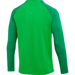 NIKE Academy Pro Dri-FIT langarm Trainingsshirt Herren...