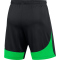 NIKE Academy Pro Dri-FIT Fu&szlig;ballshorts Herren black/green spark/white XL