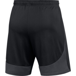 NIKE Academy Pro Dri-FIT Fußballshorts Herren 014 -...