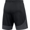 NIKE Academy Pro Dri-FIT Fu&szlig;ballshorts Herren 014 - black/anthracite/white S