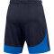 NIKE Academy Pro Dri-FIT Fußballshorts Herren obsidian/royal blue/white S