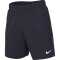 NIKE Academy Pro Dri-FIT Fußballshorts Herren obsidian/royal blue/white S