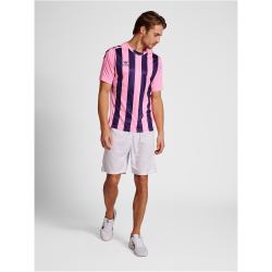 hummel Core XK Striped gestreiftes Trikot Herren cotton candy/acai XXL