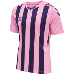 hummel Core XK Striped gestreiftes Trikot Herren cotton candy/acai L