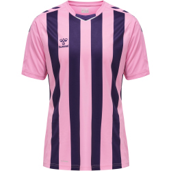 hummel Core XK Striped gestreiftes Trikot Herren cotton candy/acai L
