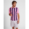 hummel Core XK Striped gestreiftes Trikot Herren cotton candy/acai L