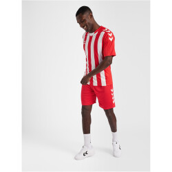 hummel Core XK Striped gestreiftes Trikot Herren true red/white XXL