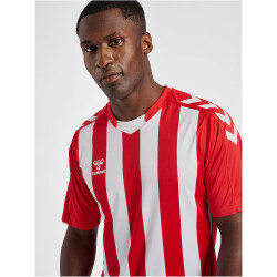 hummel Core XK Striped gestreiftes Trikot Herren true red/white XXL