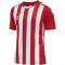 hummel Core XK Striped gestreiftes Trikot Herren true red/white XXL