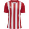 hummel Core XK Striped gestreiftes Trikot Herren true red/white XXL