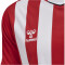 hummel Core XK Striped gestreiftes Trikot Herren true red/white XXL