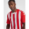hummel Core XK Striped gestreiftes Trikot Herren true red/white XXL
