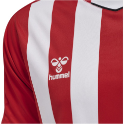 hummel Core XK Striped gestreiftes Trikot Herren true red/white 3XL