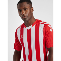 hummel Core XK Striped gestreiftes Trikot Herren true red/white 3XL