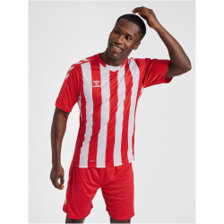 hummel Core XK Striped gestreiftes Trikot Herren true red/white L