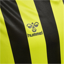 hummel Core XK Striped gestreiftes Trikot Herren lime popsicle/black S