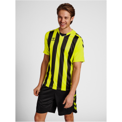 hummel Core XK Striped gestreiftes Trikot Herren lime popsicle/black S