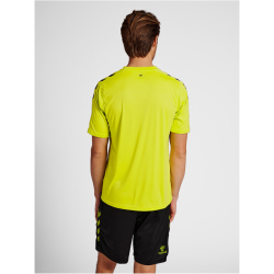 hummel Core XK Striped gestreiftes Trikot Herren lime popsicle/black S