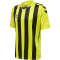 hummel Core XK Striped gestreiftes Trikot Herren lime popsicle/black S