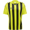hummel Core XK Striped gestreiftes Trikot Herren lime popsicle/black S