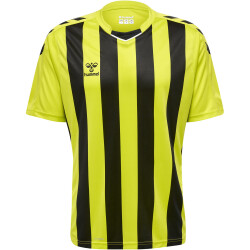 hummel Core XK Striped gestreiftes Trikot Herren lime popsicle/black XL