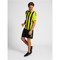 hummel Core XK Striped gestreiftes Trikot Herren lime popsicle/black XL