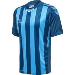 hummel Core XK Striped gestreiftes Trikot Herren blue...