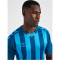 hummel Core XK Striped gestreiftes Trikot Herren blue coral/blue danube XXL