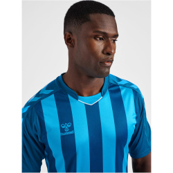 hummel Core XK Striped gestreiftes Trikot Herren blue coral/blue danube M