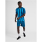 hummel Core XK Striped gestreiftes Trikot Herren blue coral/blue danube M