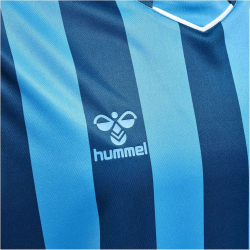 hummel Core XK Striped gestreiftes Trikot Herren blue coral/blue danube S