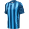 hummel Core XK Striped gestreiftes Trikot Herren blue coral/blue danube S