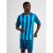hummel Core XK Striped gestreiftes Trikot Herren blue coral/blue danube XL