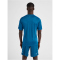 hummel Core XK Striped gestreiftes Trikot Herren blue coral/blue danube XL