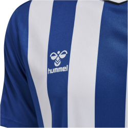 hummel Core XK Striped gestreiftes Trikot Herren true blue/white L