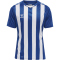 hummel Core XK Striped gestreiftes Trikot Herren true blue/white S